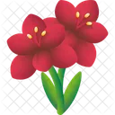 Amaryllis  Icon