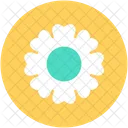 Amaryllis Flower Clematis Icon