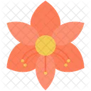 Amaryllis Bloom Christmas Icon