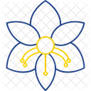 Amaryllis  Icon