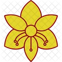 Amaryllis  Icon