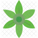 Amaryllis-Blume  Symbol