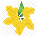 Amaryllis Amaryllis Flower Flower Icon