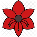 Amaryllis  Icon