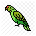 Amazon Parrot Bird Icon