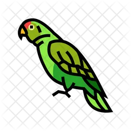 Amazon Parrot  Icon