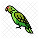 Amazon Parrot  Icon