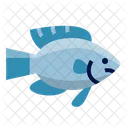 Ambon Damsel Fish Icon