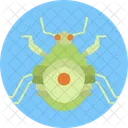 Ambush Bug Insect Bug Icon