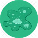 Ameba  Icono