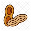 Amendoim Noz Vegetal Ícone