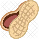 Amendoim Noz Comida Ícone