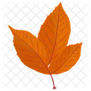American Beech Leafy Twig Autumn Leaf Icon