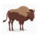 American Bison Buffalo North Icon