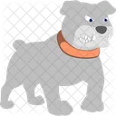 American bully  Icon