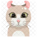 American Curl  Icon