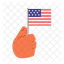 American flag holding  Icon