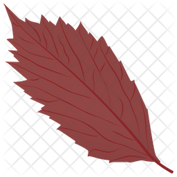 American Hornbeam Icon