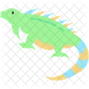 American Lizard Reptile Animal Icon