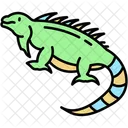 American Lizard Reptile Animal Icon