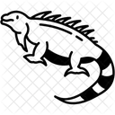 American lizard  Icon