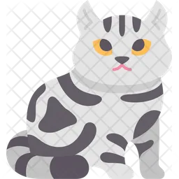 American Shorthair Cat  Icon