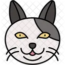 American Wirehair Cat Rare Dense Coat Icon