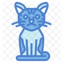American Wirehair Cat  Icon