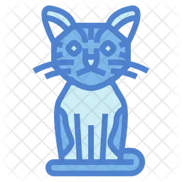 American Wirehair Cat  Icon