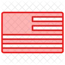 Americas Flag Icon