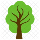 Ulme Baum Wald Symbol