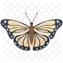 Amerikanischer Schnauzenschmetterling  Symbol