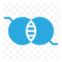 Diagrama De Venn Analisis Estadisticas Icono