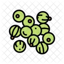 Amla Ayurveda  Symbol