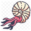 Ammonite  Icon