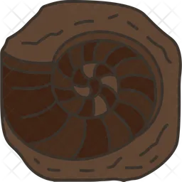 Ammonite  Icon