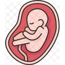 Amniotic  Icon