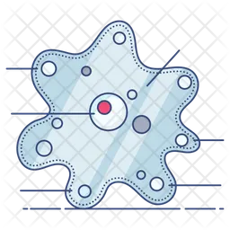Amoeba  Icon