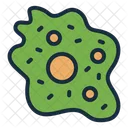 Amoeba Bacteria Cell Icon
