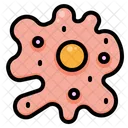 Biology Science Education Icon
