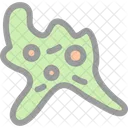 Amoeba  Icon