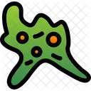 Amoeba  Icon
