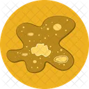 Amoeba Cell Microbiology Icon