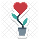 Amour Plante Plante Coeur Icon