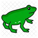 Amphibian Diversity Frog Life Cycle Pond Ecosystems Icon
