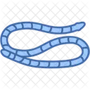 Amphisbaenia  Icon