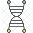 Ampulheta DNA Helice Ícone