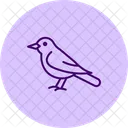 Amsel  Symbol