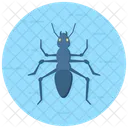 An  Symbol