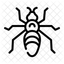 An  Symbol